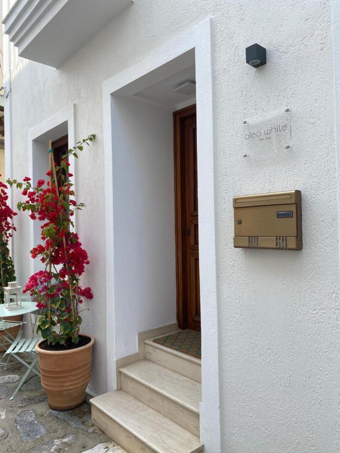 Olea White Βίλα Σκιάθος Πόλη Εξωτερικό φωτογραφία